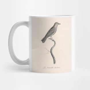 The Spotted Warbler Mug